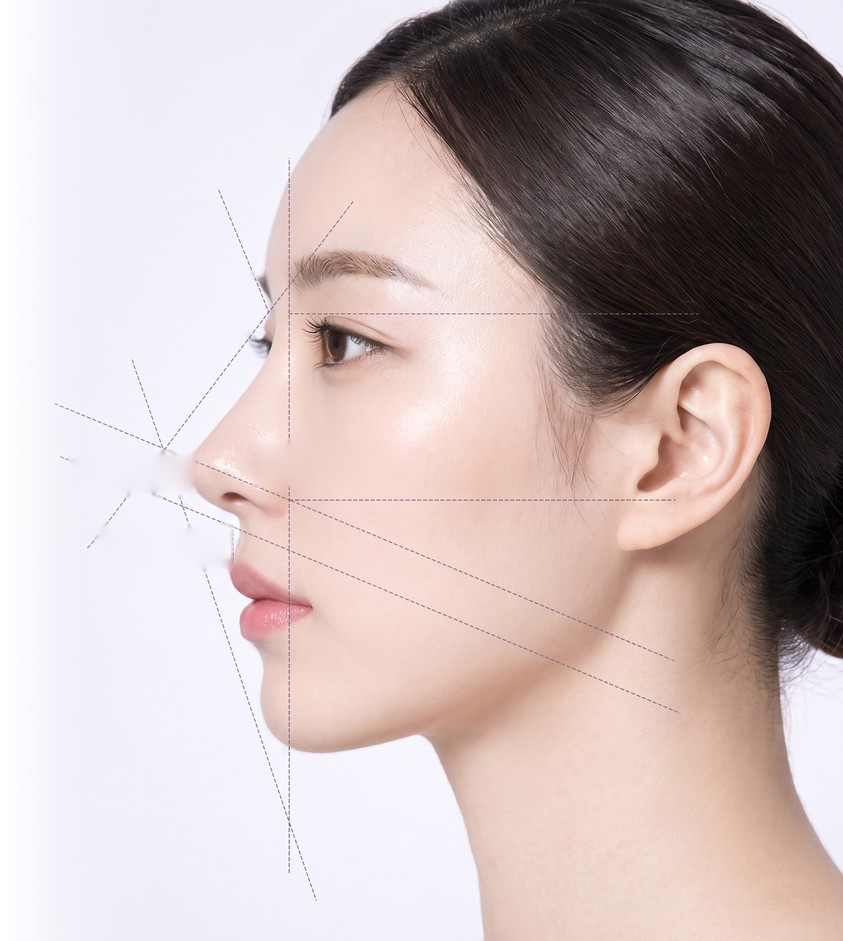 여성 옆얼굴 위 각도 점선과 각도 라벨 4개